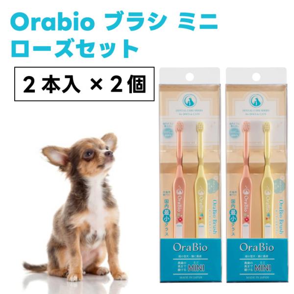 OraBio オーラバイオブラシ MINI 2本入り ローズセットx2個  綿棒サイズ 犬 猫 歯ブ...