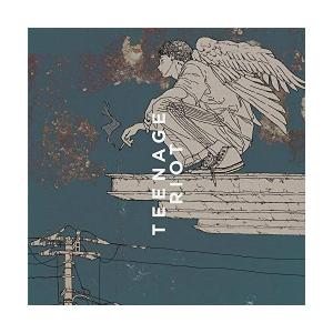 初回限定 Cd 米津玄師 Flamingo ティーンエイジ盤 フラミンゴ Teenage Riot あきんどやメディアショップ 通販 Yahoo ショッピング