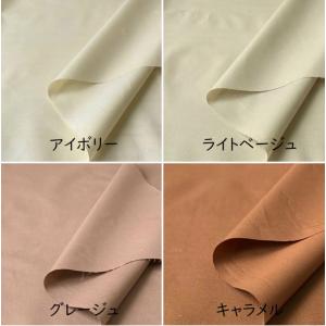 ブロード 無地 生地 全22カラー 【10cm...の詳細画像2