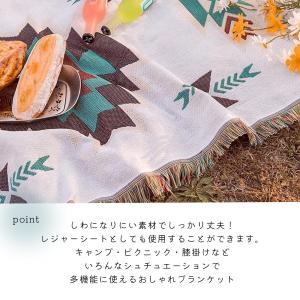 ネイティブ オルテガ 柄 ブランケット ラグ ...の詳細画像1