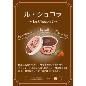 商品名 ダシーズ アイス 世界チャンピオン 野...の詳細画像1