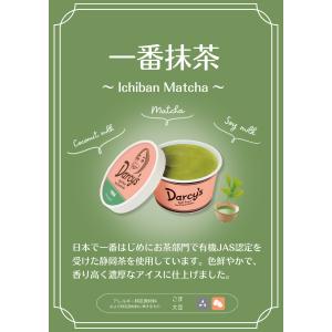 商品名 ダシーズ アイス 世界チャンピオン 野...の詳細画像2