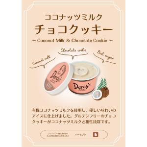 商品名 ダシーズ アイス 世界チャンピオン 野...の詳細画像3