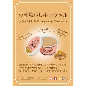 商品名 ダシーズ アイス 世界チャンピオン 野...の詳細画像4