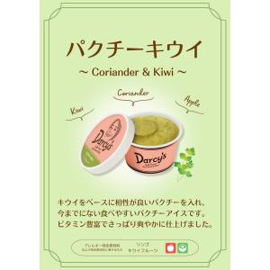 商品名 ダシーズ アイス 世界チャンピオン 野...の詳細画像5