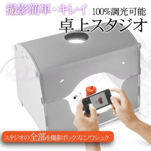YUKIMU ASB-1 (ユキム・オーディオ用 静電気除去 除電ブラシ) 特典付き