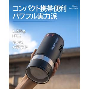[日本公認代理店品] GODOX ゴドックス ...の詳細画像2