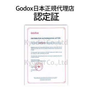[日本公認代理店品] GODOX ゴドックス ...の詳細画像1