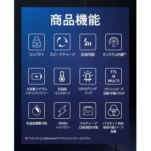 [日本公認代理店品] GODOX ゴドックス ...の詳細画像3