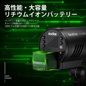 [日本公認代理店品] GODOX ゴドックス ...の詳細画像5