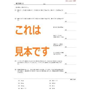 中学受験算数 相当算の詳細画像1