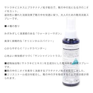 COLUMBUS コロンブス プラチナナノ粒子...の詳細画像1