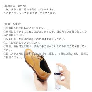 COLUMBUS コロンブス プラチナナノ粒子...の詳細画像2