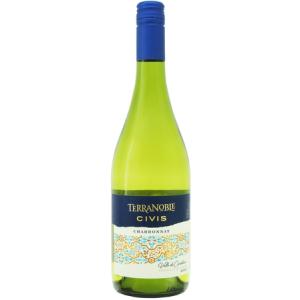 テラノブレ　シャルドネ　レゼルバ　（SC） 2022年　白 750ml TERRANOBLE　CHARDONNAY RESERVA.2717e｜akisa