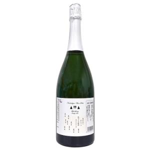 南部美人 あわさけスパークリング　マグナムボトル　1500ml/6本e　お届けまで14日ほどかかります