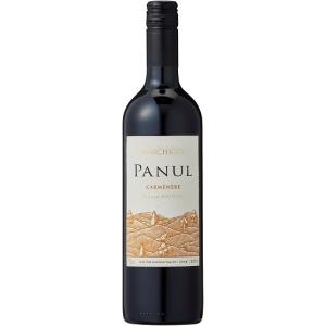 新品 ビーニャ・バルディビエソ カベルネ・フラン 赤 ワイン　750ml 5本 新品 ビーニャ・バルディビエソ カベルネ・フラン 赤 ワイン 750ml 5本