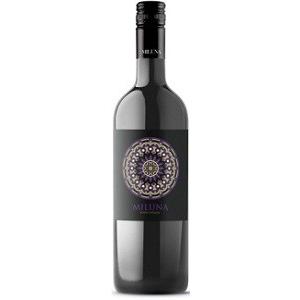 ブランデー マーテル VSOP メダリオン MARTELL VSOP MEDAILLON 700ml