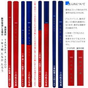 ＼＼まとめ買いは 1ダース887円より// お...の詳細画像5