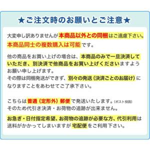 uni ネーム6 ユニネーム6 訂正印 サイズ...の詳細画像2
