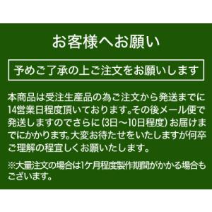 uni ネーム6 ユニネーム6 訂正印 サイズ...の詳細画像5