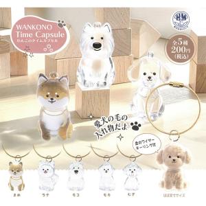 あきずむヤフー店 - Yahoo!ショッピング