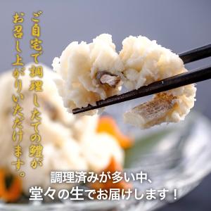 はも 200g ハモ 国産 加熱用 鍋用 湯引...の詳細画像1