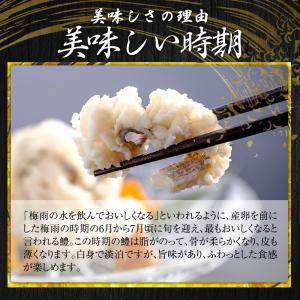 はも 200g ハモ 国産 加熱用 鍋用 湯引...の詳細画像4