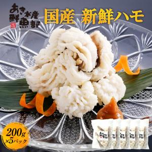 新鮮 国産 ハモ 200ｇ×5パック 加熱用