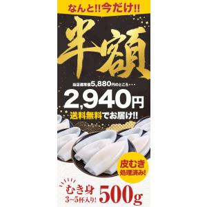 アオリイカ むき身 500g あおりいか いか...の詳細画像2
