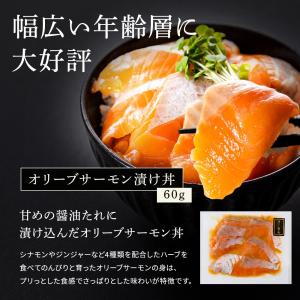 サーモン 漬け丼 60g 海鮮丼 づけ丼 冷凍...の詳細画像1