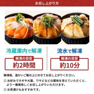 サーモン 漬け丼 60g 海鮮丼 づけ丼 冷凍...の詳細画像3