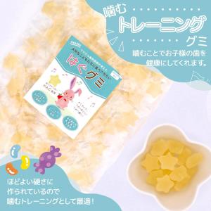グミッツェル　プチパーティーBOX 2点セット ヒトツブカンロ グミッツェル プグミッツェルプチ パーティBOX