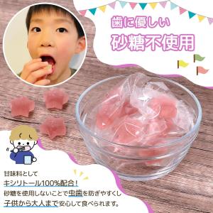 はぐグミ ぶどう味 砂糖不使用 キシリトール1...の詳細画像5