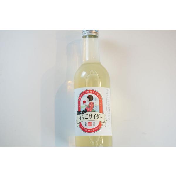 あきた三郷づくり　仁手古りんごサイダー/300ml