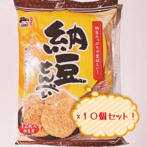 秋田いなふく米菓　納豆せんべい　10個セット