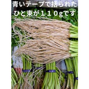 送料無料 古川農園 三関産せり １束 気温に応じて通常便とクルー便を使い分けします