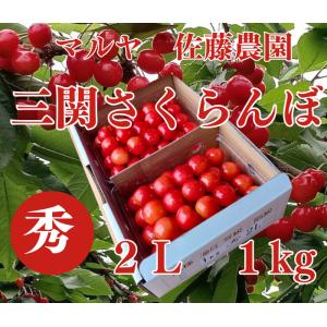 送料無料 さくらんぼ 佐藤錦 秀 ２Ｌ 以上 1kg 湯沢市三関 マルヤ佐藤農園