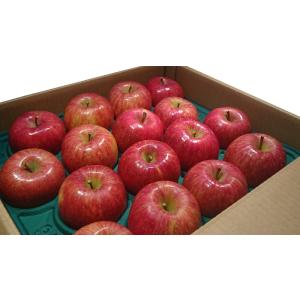 送料無料 林檎一筋５０年以上 後藤苹治農園 贈答用 樹上完熟 ふじ ２０〜２４玉 5kgくらい