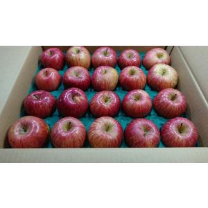 送料無料 林檎一筋５０年以上 後藤苹治農園 樹上完熟 ふじ 訳あり品 ２０〜２４玉 5ｋｇくらい 限...