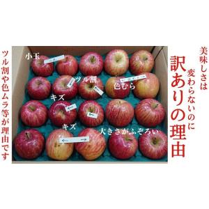 送料無料 林檎一筋50年以上 後藤苹治農園 樹...の詳細画像2