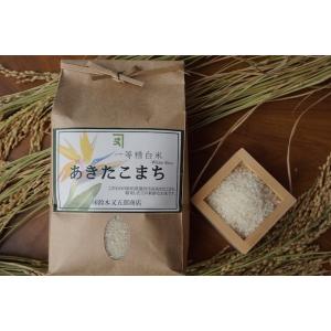 あいちのかおり 令和7年 愛知県豊橋市産 『あいちのこころ』 5kg
