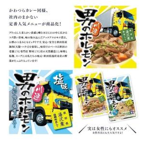 送料無料 川連運送 かわつらポークカレーと 雄...の詳細画像3