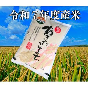 元気つくし [ 950g ] 令和7年産 福岡県産 ポイント消化 農家直送 送料