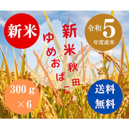 送料無料 令和５年度米 渡部浩見 漢方農法 特別栽培米 ゆめおばこ ３００g ６パック