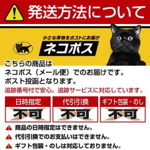 稲庭うどん 寛文五年堂 切れはし麺 切り落とし...の詳細画像4