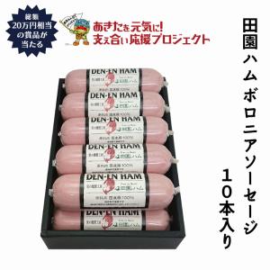 内祝い お返し ギフト 田園ハム ボロニアソーセージ10本入り