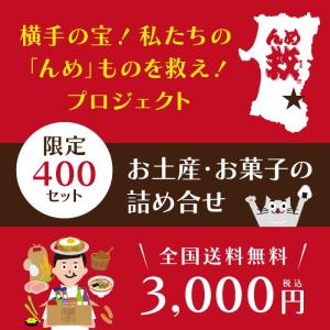 お中元 横手 秋田 福袋  んめ救プロジェクト 名産 特産 復興 応援 お土産 お菓子 詰め合せ ３０００円 送料無料