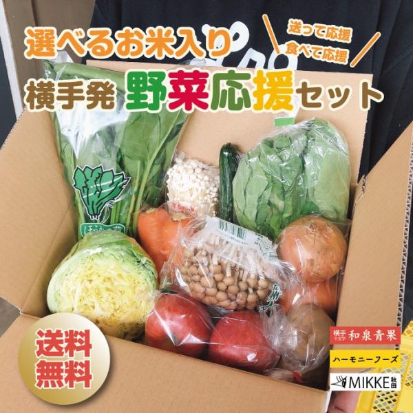 内祝い お返し ギフト 選べるお米 野菜 詰め合せ 地元のお店 県外在住者 応援セット 秋田 横手 ...