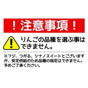 JA秋田ふるさと 無添加100%りんごジュース...の詳細画像2