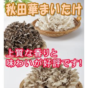 秋田華まいたけ　秋田県産　生まいたけ　1カブ
